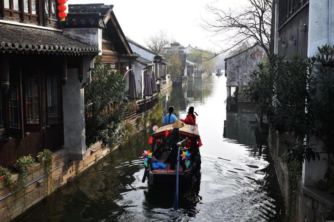 植物大战僵尸4